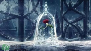 camino美女與野獸音響多少錢？camino玫瑰藍(lán)牙音箱價(jià)格