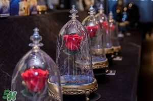 camino美女與野獸音響多少錢？camino玫瑰藍(lán)牙音箱價(jià)格