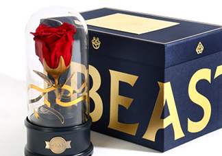 野獸派美女與野獸水晶球多少錢？野獸派音樂水晶球價格