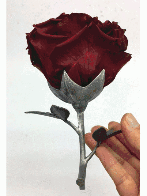 野獸派美女與野獸水晶球多少錢？野獸派音樂(lè)水晶球價(jià)格