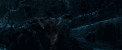 野獸派美女與野獸水晶球多少錢？野獸派音樂(lè)水晶球價(jià)格