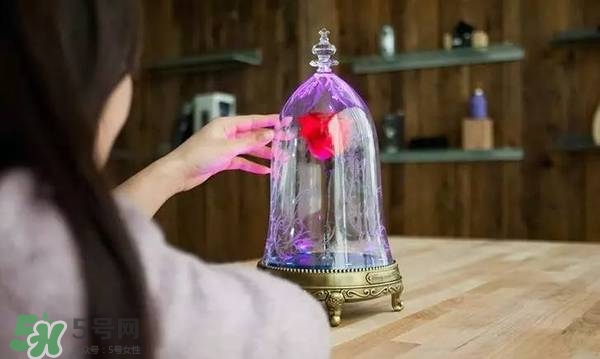 camino美女與野獸音響多少錢？camino玫瑰藍(lán)牙音箱價(jià)格