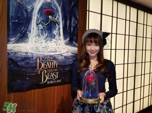 camino美女與野獸音響多少錢？camino玫瑰藍(lán)牙音箱價(jià)格