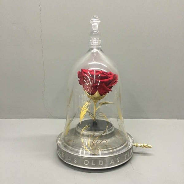 野獸派美女與野獸水晶球多少錢？野獸派音樂(lè)水晶球價(jià)格