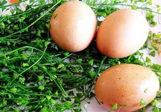 三月三為什么要吃雞蛋？三月三吃雞蛋的由來