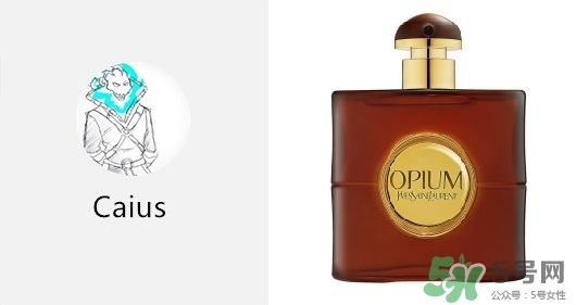 YSL鴉片香水有幾種 YSL鴉片香水哪款好聞 YSL鴉片香水有幾種 YSL鴉片香水哪款好聞