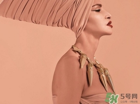 蘿卜丁口紅為什么火？蘿卜丁口紅圖片