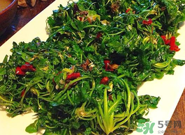 野生薺菜孕婦能吃嗎？野薺菜孕婦可以吃嗎？