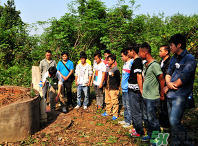 三月三可以掃墓嗎？三月三能掃墓嗎？