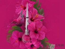 cl指甲油多少錢？cl紅底鞋指甲油專柜價格