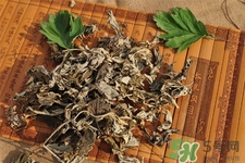 艾草是寒性的嗎？艾草是涼性的嗎？