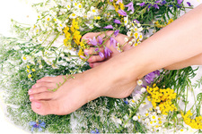 艾草泡草有什么好處？用艾草泡腳的好處有哪些？