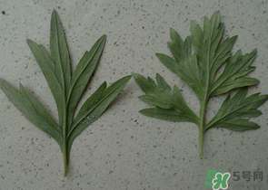 ?蒿子怎么去除苦味？?蒿子粑粑苦是什么原因？