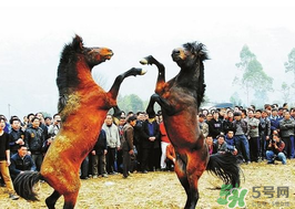 三月三有什么禁忌？三月三有什么講究？