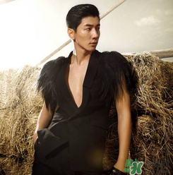 太平鳥是什么牌子？peacebird太平鳥是什么檔次？