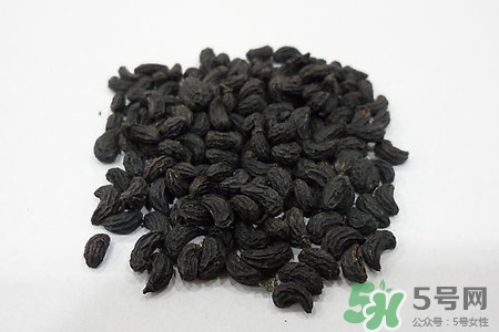 女貞子的營養(yǎng)價(jià)值 女貞子的功效與作用 女貞子的營養(yǎng)價(jià)值 女貞子的功效與作用