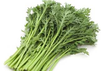 蒿子是發(fā)物嗎？蒿子是不是發(fā)物嗎？