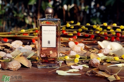 serge lutens蘆丹氏香水怎么用？蘆丹氏香水噴頭怎么按？