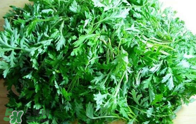 蒿子什么時(shí)候有？蒿子什么時(shí)候長？