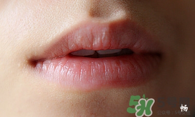 serge lutens蘆丹氏口紅怎么樣？蘆丹氏口紅是什么牌子