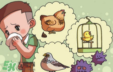 怎樣預(yù)防禽流感？如何預(yù)防禽流感