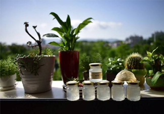 即食燕窩好嗎？即食燕窩和自己燉的哪種好？