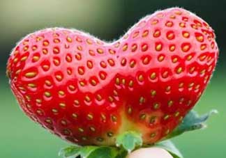 清明節(jié)還有草莓嗎？清明節(jié)的草莓能吃嗎？