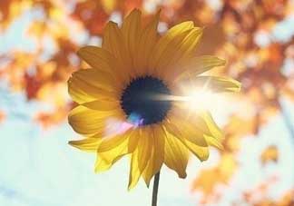 2017天氣什么時候回暖？2017什么時候升溫？