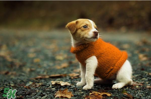 2017天氣什么時候回暖？2017什么時候升溫？