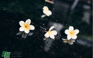 三月份為什么一直下雨？2017年三月份為什么雨多？