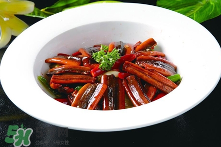 黃鱔如何養(yǎng)？黃鱔怎樣養(yǎng)才不會死？