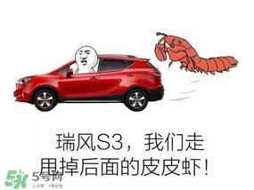 黃鱔為什么火了？黃鱔我們走為什么火了？