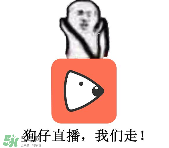 黃鱔為什么火了？黃鱔我們走為什么火了？