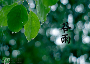 2017年谷雨是幾月幾號(hào)？2017年谷雨是哪一天？