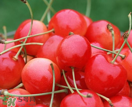 櫻桃什么品種最好吃？櫻桃哪個品種最好吃？