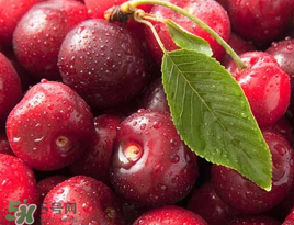 櫻桃什么品種最好吃？櫻桃哪個品種最好吃？