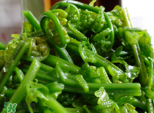 蕨菜什么人不能吃？哪些人不能吃蕨菜？