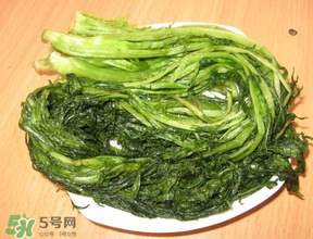 雪里紅是什么菜？雪里紅是雪菜嗎？