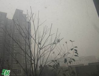 霧霾對(duì)孕婦有什么危害？霧霾對(duì)胎兒有影響嗎？