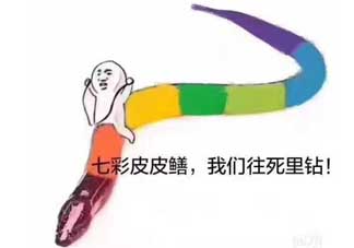 七彩皮皮鱔我們往死里鉆是什么意思？七彩皮皮鱔我們?nèi)€(gè)好地方是什么意思？