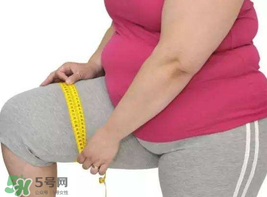 喝水會長胖嗎？喝水會不會長胖