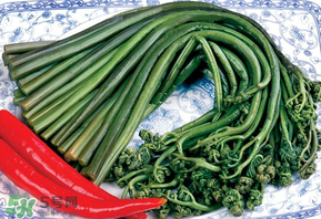 蕨菜有毒嗎？吃蕨菜會中毒嗎？