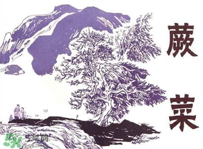 吃蕨菜會過敏嗎？皮膚過敏能吃蕨菜嗎？