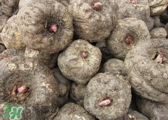 魔芋什么味道？怎么去除魔芋味道？