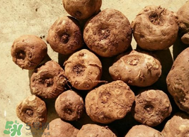 魔芋什么人不能吃？魔芋哪些人不能吃？