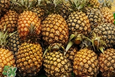 過(guò)敏性鼻炎可以吃菠蘿嗎？過(guò)敏性鼻炎能不能吃菠蘿？