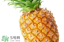 過(guò)敏性鼻炎可以吃菠蘿嗎？過(guò)敏性鼻炎能不能吃菠蘿？