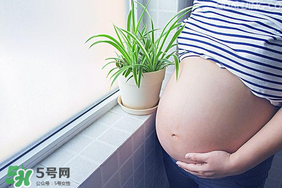 孕婦可以做美甲嗎？美甲對孕婦有什么影響？