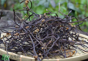 干蕨菜致癌嗎？干蕨菜致癌是真的嗎？