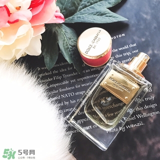 dolce gabanna香水哪款好聞？DG杜嘉班納香水推薦